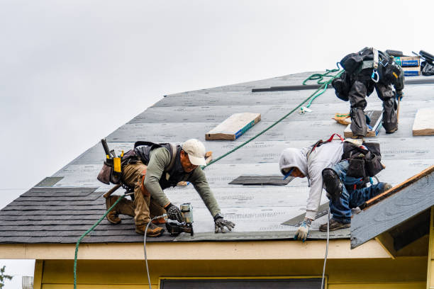 Professional Roofing technician working in Lineville, IA